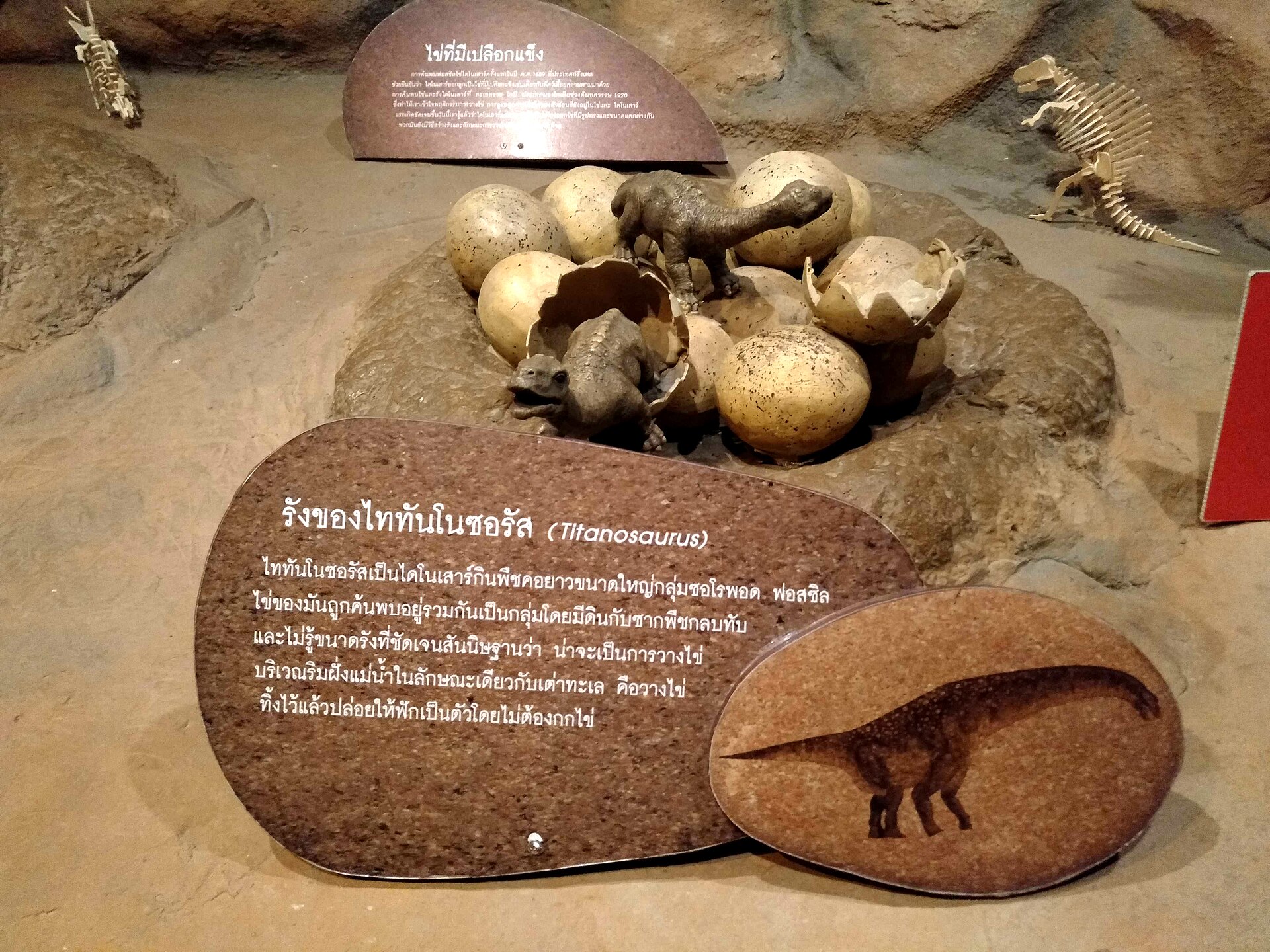 Titanosaurus Nest Model in the Bangkok Children's Discovery Museum, Thailand