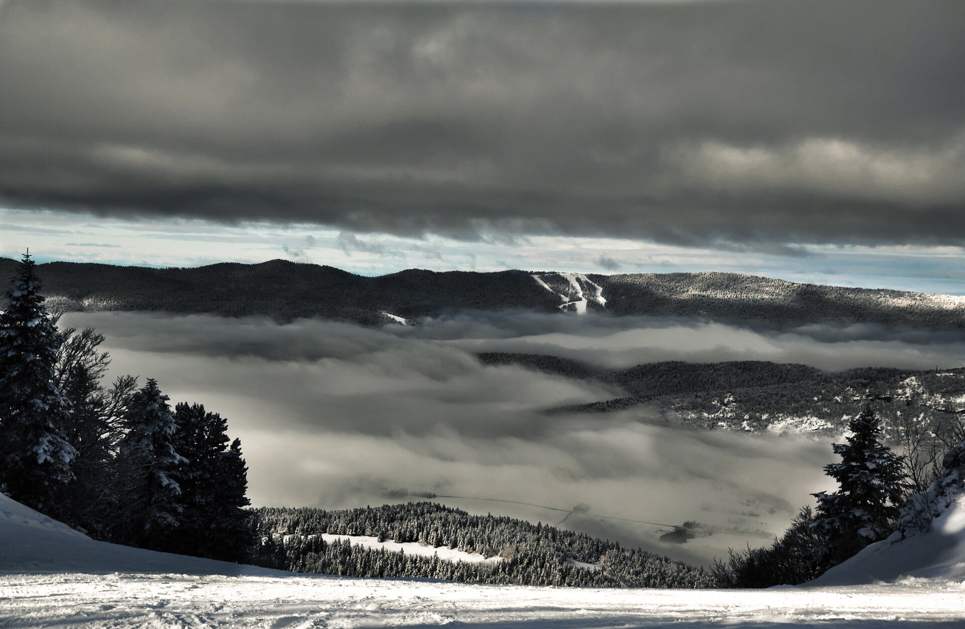 500px provided description: Du haut des pistes [#landscape ,#tree ,#ski ,#white ,#snow ,#black ,#mountain ,#resort ,#fir ,#sapin ,#vercors]